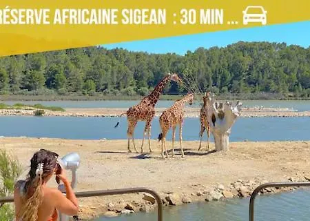 Entre Et Lagune, Détente En Famille ! * Gruissan